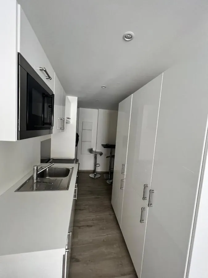 Superbe Appartement Plein Centre De Lyon 0*,  France