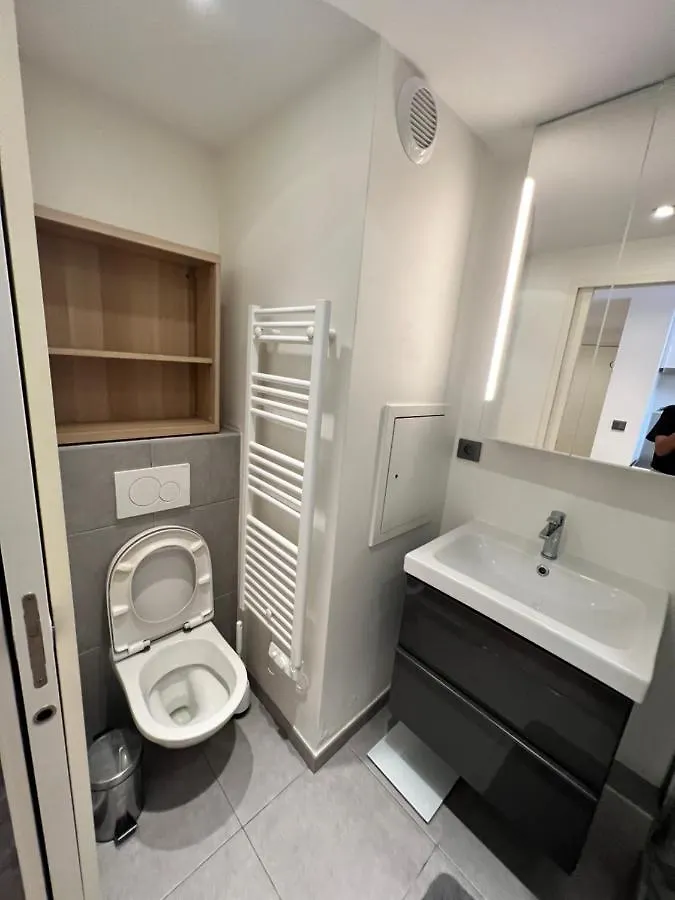Superbe Appartement Plein Centre De Lyon France