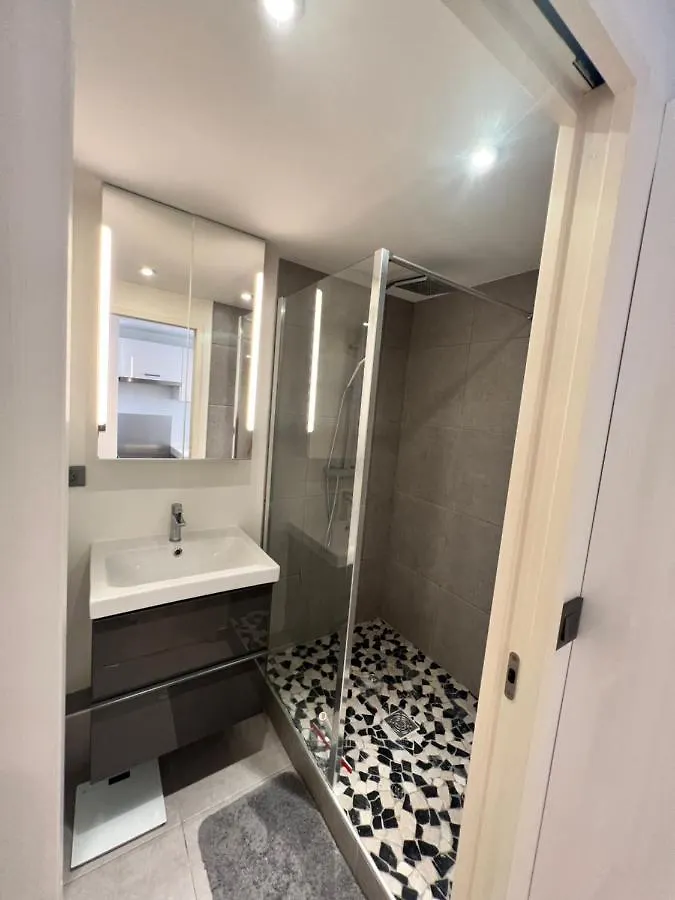 Superbe Appartement Plein Centre De Lyon France